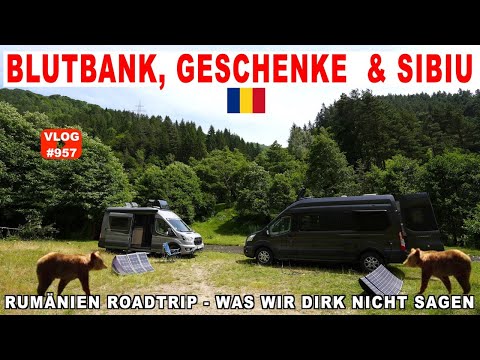 #957 Die Sache mit den Französinnen, Transfogarascher, Sibiu/Hermannstadt | Straßenhund? Rumänien