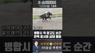 [서울 경마] 민병철 대박픽 2025년 10월 26일 일요 1R 추천마3 #경마 #하이라이트 #한국마사회 #고배당 #검빛 #코리아