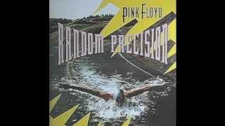 Pink Floyd - Raving &amp; Drooling - Random Precision