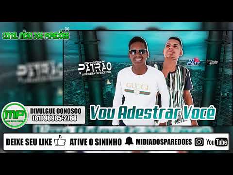 SWING DOZ PATRÃO - ADESTRAR VOCÊ - BREGADEIRA TOP PRA PAREDÃO
