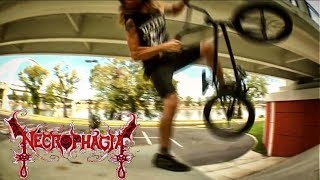 METAL MONDAYS - NECROPHAGIA