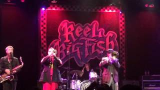 Reel Big Fish - I Dare You to Break My Heart - Best Buy Theater - 2013