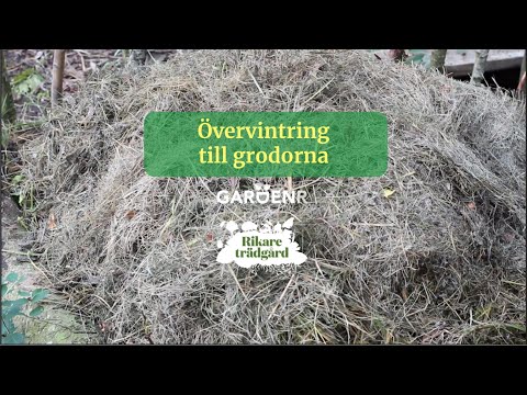 Övervintring till grodorna - Trädgårdshacks med GardenR