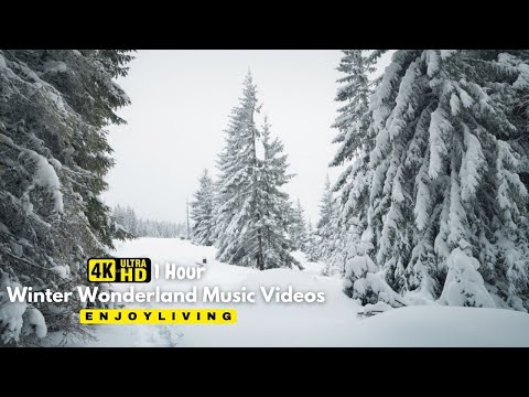 Norway 4K Winter Wonderland Film - Meditation Relaxing Music - Winter Scenery