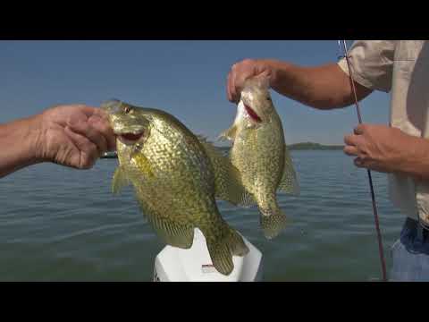 Sportsman's Journal 2018 Ep 7 - Birch Forest Lodge