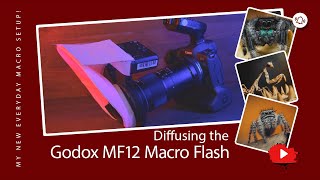 My New Every Day Macro Setup | Diffusing the Godox MF12 Twin Macro Flash!