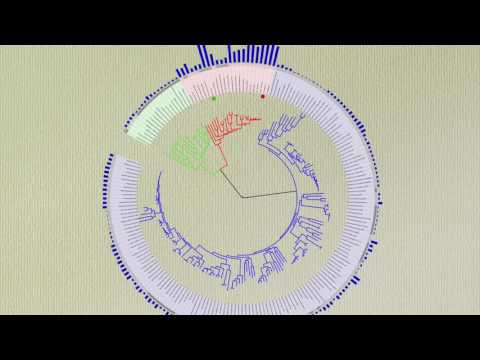 15 Second Science at AGU16 - Tree of life