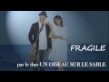 Cover Fragile de STING par "UN OISEAU SUR LE ...