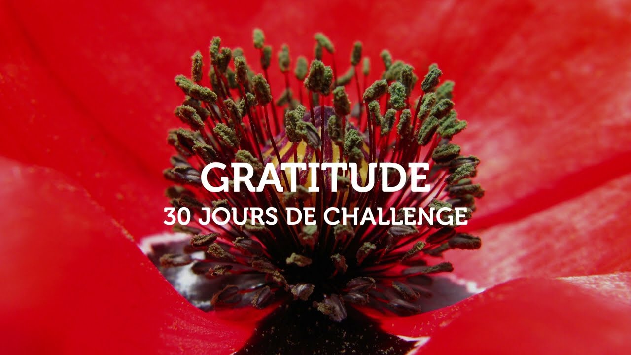 Gratitude I Méditation I challenge de 30 jours pour changer votre vie !