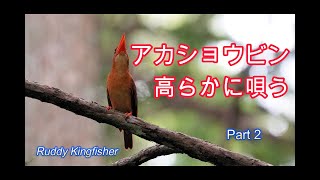 熱い夏が来たThe hot summer has come.