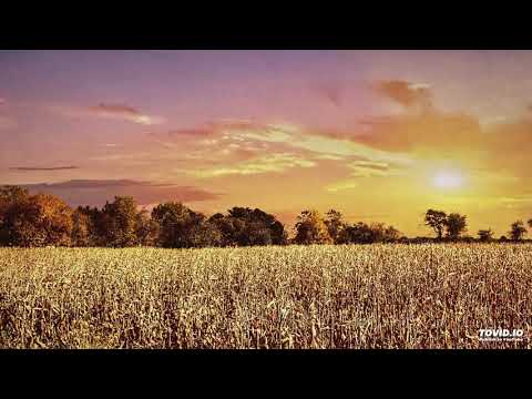 Matt Nash - Home (Extended Mix)