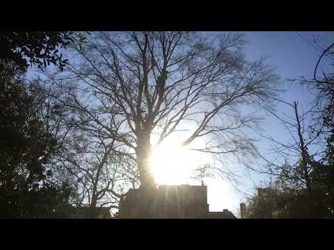 Twynam and Woods Ltd video.