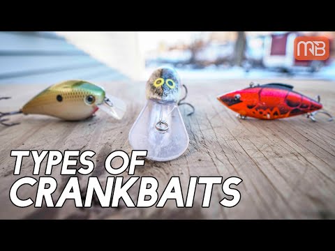 3 Types of Crankbaits for Bass Fishing
