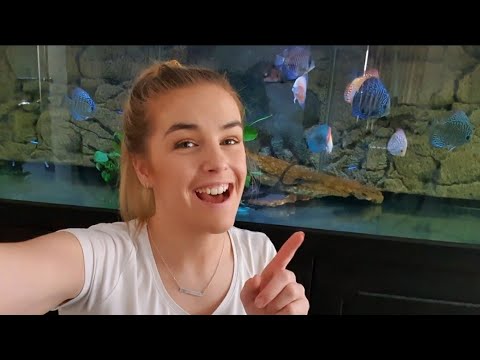 How to blanch zucchini and cucumber to feed to your fish and snails.  Takes 5 minutes!!