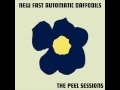 New Fast Automatic Daffodils - Jaggerbog (1991)