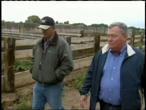 Heifer Development (C2C)