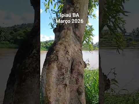 Ipiaú BA sob o Olhar de Mauricio Cardim