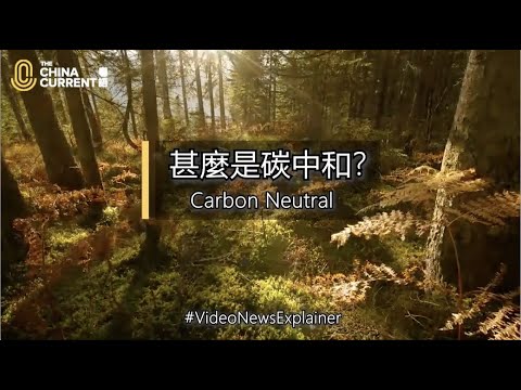 中和意思