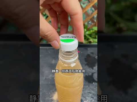 養花