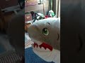 Norman Greenbaum!   #funny #shark #spirit in the sky