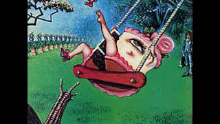 Little Feat   Teenage Nervous Breakdown with Lyrics in Description
