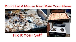 Mice Nest Inside the Insulation of Oven Or Cook Stove Smells like Urine or Ammonia When Cooking