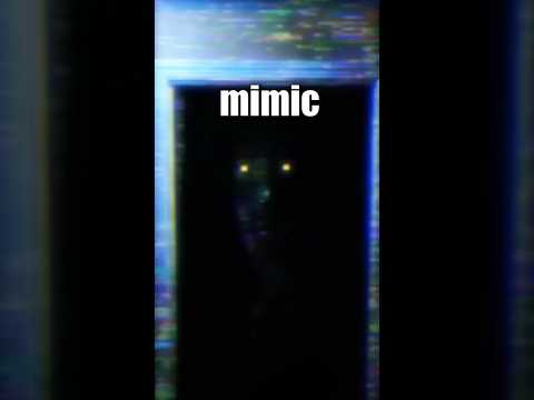 DAS IST EIN NACHAHMUNGSPROTOKOLL! 🦖