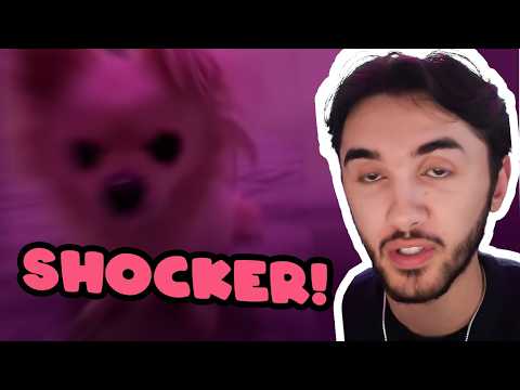 Louisayy Funny TikTok React Moments  Pt. 52 | She Painted Her Lightbulb!