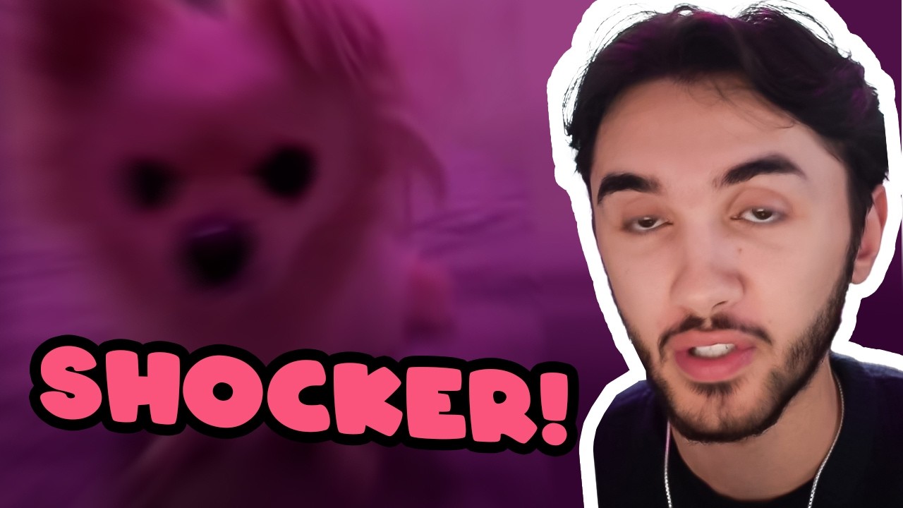 Louisayy Funny TikTok React Moments  Pt. 52 | She Painted Her Lightbulb!