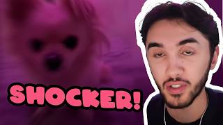 Louisayy Funny TikTok React Moments  Pt. 52 | She Painted Her Lightbulb! MQDEFAULT Thumbnail