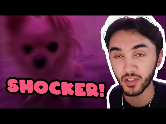 Louisayy Funny TikTok React Moments  Pt. 52 | She Painted Her Lightbulb! SDDEFAULT Thumbnail