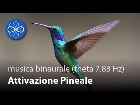 Ascoltare la canzone di una lentiggine e kipyatosh Come la maggior parte per liberarsi da lentiggini