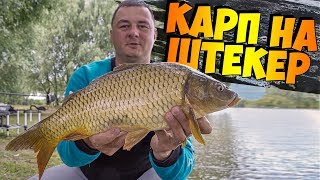 Ловля карпа на штекер фадеев