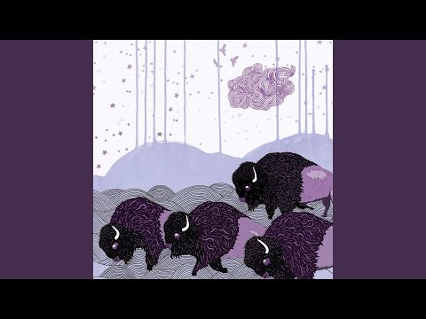 Journey to the Plains