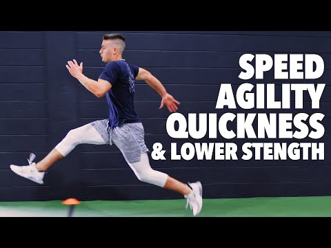 Baseball Speed, Agility, Quickness and Lower Body Strength Workout