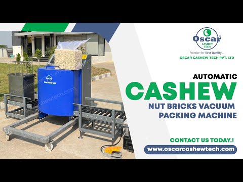 Cashew Nut Bricks Vacuum Packing Machine, Automatic Vacuum Packing Machine Manufacturers