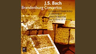 Johann Sebastian Bach / Combattimento Consort Amsterdam - Brandenburg Concerto No. 6 in B-Flat Major, BWV 1051 III video