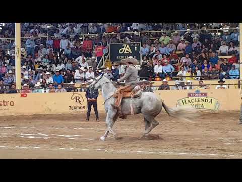 MAURICIO RÍOS Y EL ZORRO - Campeones del Caladero Abierto Millonario