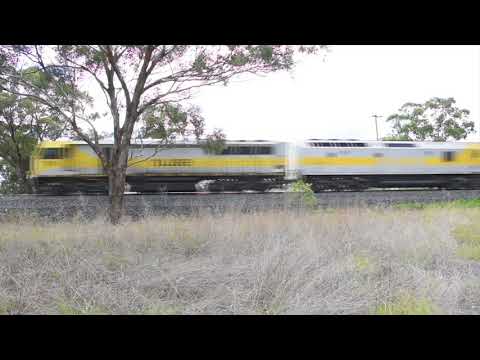 QUBE Contianer Train