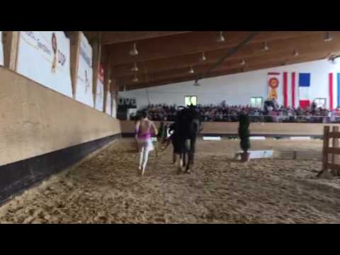 Pferd International 2017, Kür L-Einzel Zoe Spreng PSV  Roggenburg