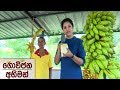 govijana-abhiman-08-12-2018