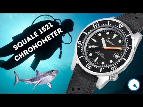 Most Affordable Certified Chronometer Diver? Squale 1521 COSC 500M Watch