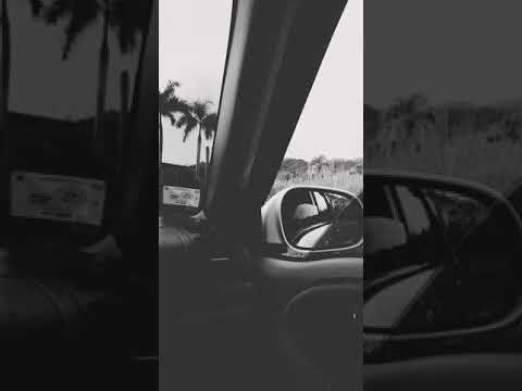 Chini Lee - preview ???