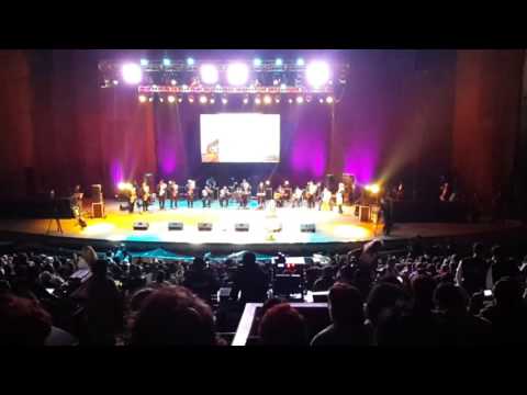 La Orquesta Amanda Portales Bodas de Oro