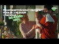 BoboVita Krok Po Kroku Uczą Się Jak Jeść Kaszki Porcja Zbóż Na śniadanie