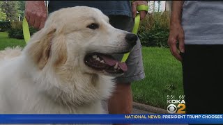 &#39;Take Me Home&#39; Tuesday: Kaje