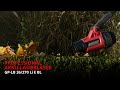 Einhell Professional Akku-Laubbläser GP-LB 36/270 Li E B (2 x 4.0AH Twinch)