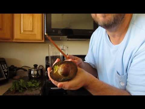 Avocado Pit Smoothie