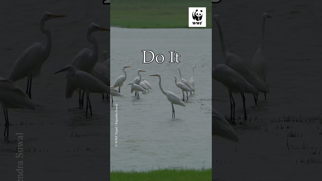 We can do it