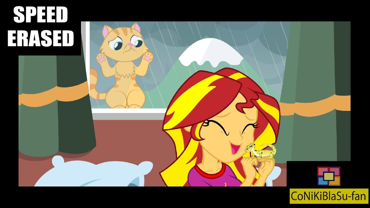 Sunset Shimmer and Pet - DRAWING